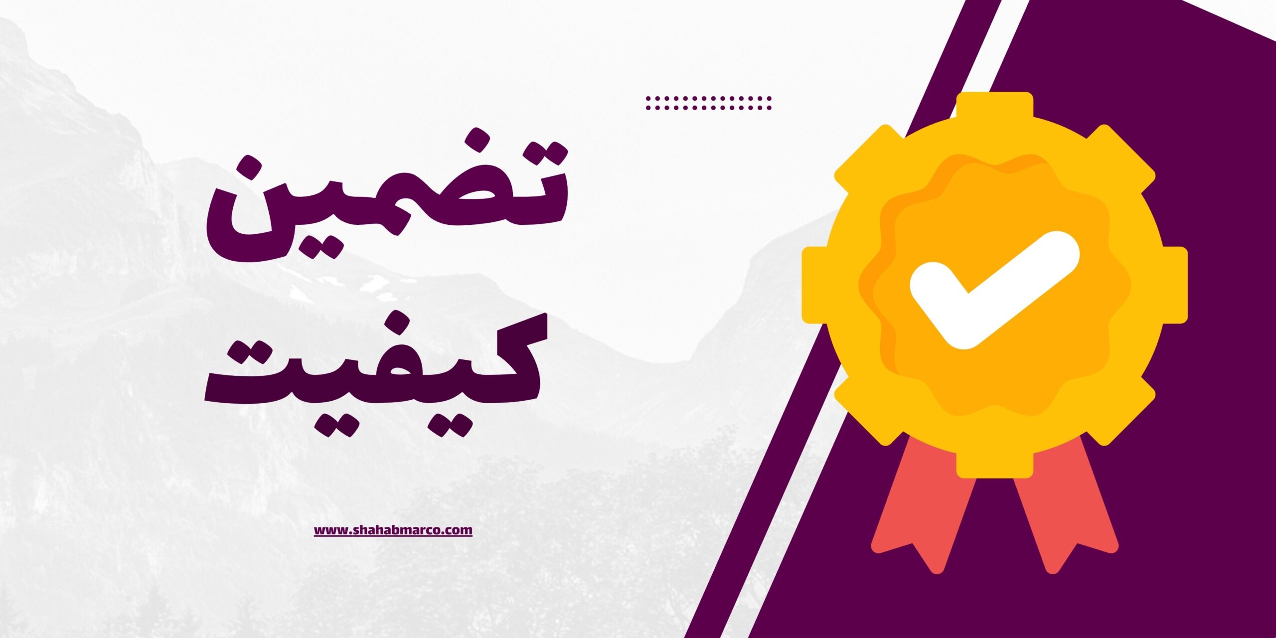 پیچ و مهره خودرو