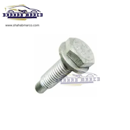 پیچ سینی فن پژو 405